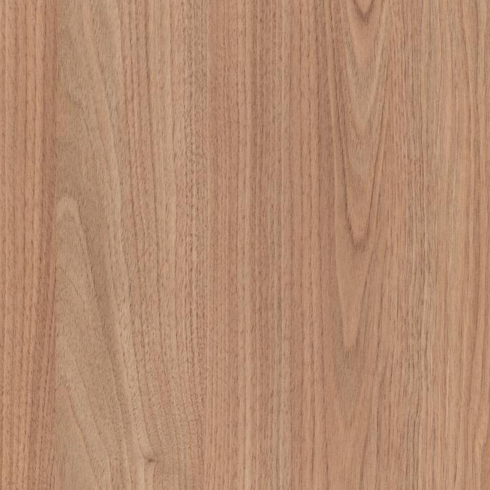 Tasmanian Oak
