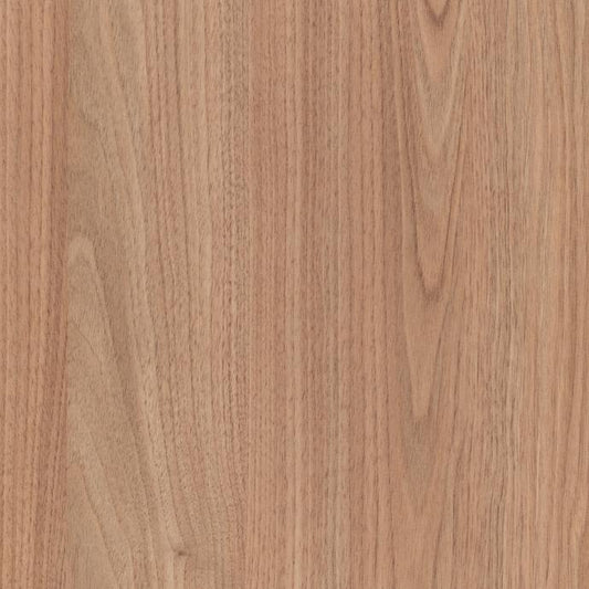 Tasmanian Oak